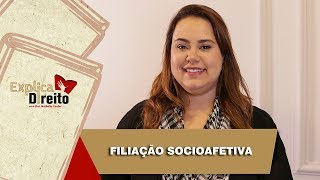 Explica Direito Filiação Socioafetiva  2019 [upl. by Chapa]