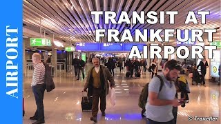 TRANSIT WALK AT FRANKFURT Airport FRA Terminal 1  Connection Flight Transfer Arriving amp Departing [upl. by Michel671]